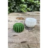 Rufus Concept Kaktüs Silikon Mum Kalıbı 60 gr Kokusuz Beyaz Renk ile Mum Yapma Malzemeleri