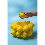 Rufus Concept Limon Yatay Silikon Mum Kalıbı - Beyaz