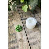 Rufus Concept Purpusorum Kaktüs Silikon Mum Kalıbı - Beyaz