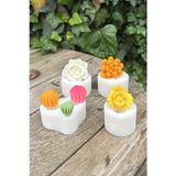 Rufusconcept Kaktüs SET 2 Dört Adet Silikon Mum Kalıbı