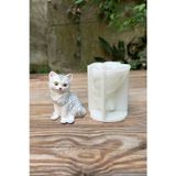 Rufusconcept Kedi Pamuk Silikon Mum Kalıbı