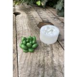 Rufusconcept Moonstone Kaktüs Silikon Mum Kalıbı