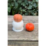 Rufusconcept Pumpkin Küçük Boy Kabak Silikon Mum Kalıbı