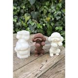 Rufusconcept Shih Tzu Köpek Silikon Mum Kalıbı