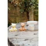 Rufusconcept Teddy Bear Mini Silikon Mum Kalıbı