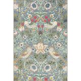 rugs modern Çok Renkli Kuş Çiçek Meyve Desenli Kreatif Modern Dekoratif Halı 3184, 140 x 200