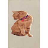 rugs modern Kedi Desenli Hayvan Çocuk Odası Halısı Dekoratif Halı miravip203, 140 x 200