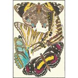 rugs modern Kelebek Temalı Boyalı Desenli Dekoratif ve Yıkanabilir Halı miravip9298, 140 x 200