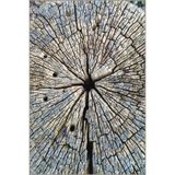 rugs modern Kütük Resenli Dokuma Taban Halı ve Yıkanabilir Halı miravip10467, 155 x 230