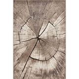 rugs modern Kütük Temalı Desenli Dokuma Taban Halı ve Yıkanabilir Halı miravip10262, 100 x 150