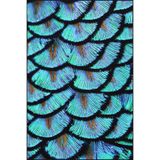 rugs modern Mavi Renkli Tavus Kuşu Tüy Desenli Dekoratif Yıkanabilir Halı Miravip8500, 120 x 120