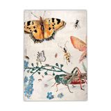 rugs modern Mira 1237 Bej Kelebek Doğa Figürlü Baskılı Dokuma Taban Halı, 140 x 200