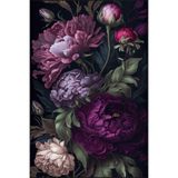 rugs modern Mor Çiçekli Floral Desenli Dekoratif Yıkanabilir Halı miravip8681, 75 x 200