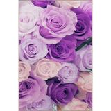 rugs modern Mor Pembe Temalı Çiçek Gül Desenli Kreatif Modern Dekoratif Halı 2308, 100 x 250