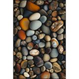 rugs modern Renkli Çakıl Desenli Dokuma Taban Halı ve Yıkanabilir Halı miravip10375, 140 x 200