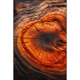 rugs modern Turuncu Ağaç Desenli Dokuma Taban Halı ve Yıkanabilir Halı miravip10253, 155 x 230