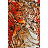 rugs modern Turuncu Botanik Desenli Dokuma Taban Halı ve Yıkanabilir Halı miravip10290, 75 x 200