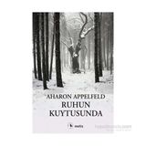 Ruhun Kuytusunda - Aharon Appelfeld