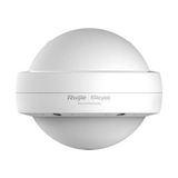 Ruijie Reyee RG-RAP6202(G) Dual Band 2.4/5 Ghz 2x2 Mu-Mimo Ac1300 Poe Dış Ortam Access Point
