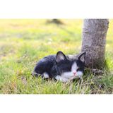 RUNADI Hi- Line Gift 87699-B Kedi Yavrusu Uyuyan Siyah ve Beyaz Kedi Heykeli