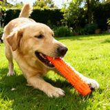 Runaway Küçük Köpek Oyuncağı - Diş Temizleyici ve Ödüllü