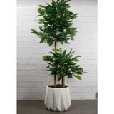 Rüzgar Yapay Çiçekçilik 110 cm 2 Gövdeli Bambu Ağacı ( Saksı Modeli Degisebilir) - Yeşil