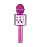 RXP Pembe Ws-858 Dahili Hoparlörlü Usb Flash Destekli Karaoke Mikrofon