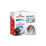Ryl Cnn Mini Puppy Yavru Kuru Köpek Maması Set 2 Kg