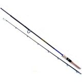 Ryobi Aosagi 2 Parçalı 240 cm 10-40 gr Atarlı Spin Kamış