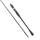 Ryuji Black Sea 180Cm 90-280Gr Jig Kamışı