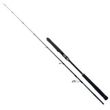 Ryuji Seawolf 198 cm 30-150 gr Jig Kamış