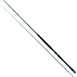 Ryuji Shore Game Fuji KW 310 cm 60-150 gr Jig Kamış