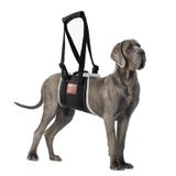 S-ETOVUS Arka Bacaklar için Köpek Askısı, Köpek Kaldırma Koşumu, Büyük Köpekler için Sihirli Bant Köpek Askısı Arka Bacak Desteği, Yaşlı Köpek Kaldırıcı, Yardım Canie Kalça Artriti K9 Çapraz Bağ