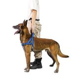 S-ETOVUS Çekme Köpek Koşum Takımı, Yansıtıcı Köpek Koşum, Kaçış Kanıtı/Hızlı Uyum Ayarlanabilir Pet Koşum Yumuşak Yastıklı Kulp, Ön ve Arka Metal Halka, Yürüyüş Eğitimi için Kolay (Mavi, XL)