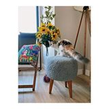 S Home Design Concept Coco Puf, Peluş, Gri
