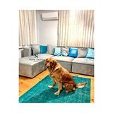 S Home Design Concept Frida 4 Modül Pofidik Modüler Kanepe L Köşe Koltuk Takımı Babyface Gri