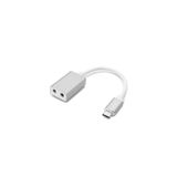 S-Link SL-USB-C80 USB 3.1 10CM Kablolu Type-C To 2*3.5mm Audio Çevirici