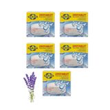 Saban 5 Adet 2x250 gr Nem Alıcı Rutubet Giderici Yedek Tablet Lavanta
