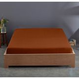 Sabia Pamuk 62 Tel (155 Tc) Okotex Sertifikalı Tek Kişilik 120X200 cm+37 cm Lastikli Çarşaf - 120x200+37 cm - Kiremit