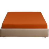 Sabia Soft Touch %100 Pamuk 62 Tel – 200X200 +37 cm Yüksekliğe Kadar Uygun Battal Boy Lastikli Çarşaf Kiremit - 200 x 200 cm