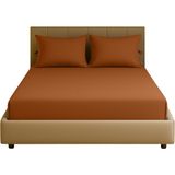 Sabia Soft Touch %100 Pamuk 62 Tel 200X200 cm +37 cm Yüksekliğe Kadar Uygun Battal Boy Lastikli Çarşaf Seti Kiremit - 200 x 200 cm