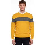 Sabri Özel Sarı Regular Fit Yünlü Çizgili Desenli Bisiklet Yaka Triko Kazak - XL