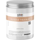 Sabun Yapımı Kristal Mentol 50 gr – Sabun ve Kozmetik Ürünleri Için Serinletici ve Ferahlatıcı Bileşen