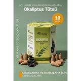 Sabuncu Hacı Okaliptus/ 10 Adet Geri Akışlı Tütsü Backflow Cones 10 PCS Geri Akış Tütsü