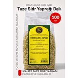 Sabuncu Hacı Orijinal 1. Kalite Taze Sidr Yaprağı (Arabistan Kirazı) Dalı & Öğütülmüş Yaprak – 100 gr 1 paket