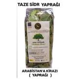 sabuncu hacı sh since 1997 Orjinal 1.kalite taze Sidr Yaprağı (arabistan Kirazı ) 50 Gr. Sidir Yaprak Sidir