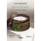 Saç Bakım Maskesi Hacim Ve Hızlı Uzama Organik Kenevir Yağı, Nemlendirici, Onarıcı 250 ml