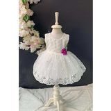 Saç Bantlı Papatyalı Dantelli Bebek Elbise PNPN146