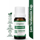 Saç Dökülme Karşıtı Çam Terebentin Yağı %100 Doğal Saç Derisi Bakım Yağı Pine Turpentine Essential Oil 10 ml