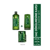 Saç Dökülmesine Karşı Prebiyotik 3'lü Set Şampuan Krem Vitamin B6 Kür Güçlendirici Vegan Bakım ERKO-DOK-SET-127